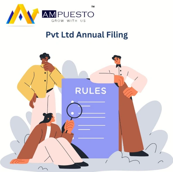 Pvt Ltd Annual Filing