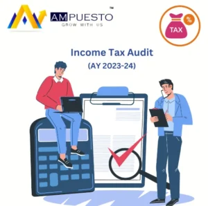 Income Tax Audit in India - Types & Audit Limit for AY 2024-25