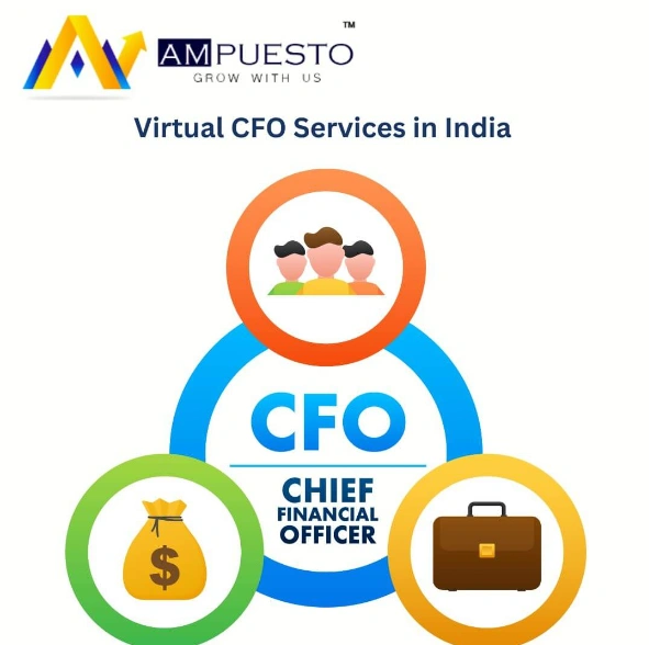 Virtual CFO Services in India for Startups