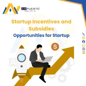Startup Incentives and Subsidies in India: Best Opportunities for Entrepreneurs