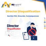Director Disqualification- Section 164, Grounds, Consequences